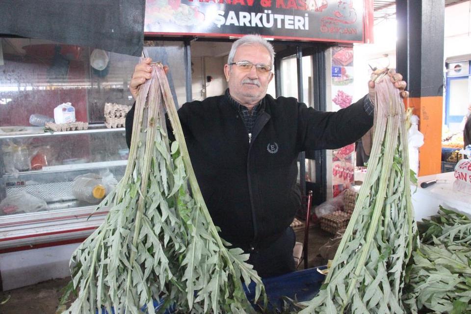 Aydın'da karaciğer dostu enginar yoğun ilgi görüyor