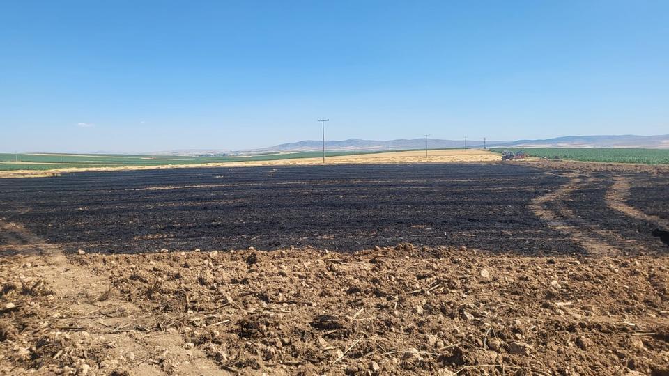 40 DÖNÜMLÜK BUĞDAY TARLASINDA KORKUTAN YANGIN