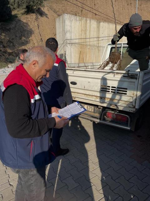 Köşk’te üreticiye tüplü incir fidanı desteği