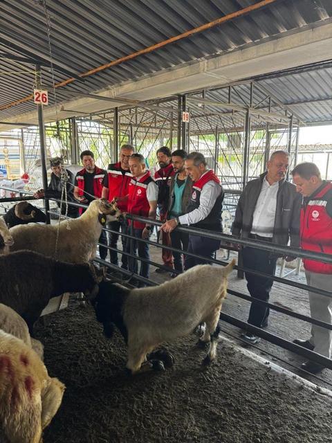 Aydın’da kurbanlık satış noktalarında kontrol yapıldı