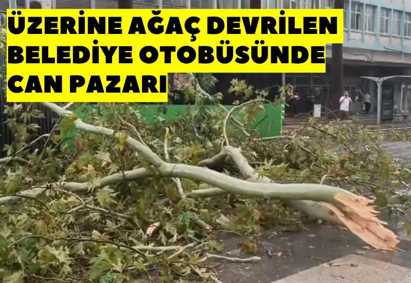Üzerine ağaç devrilen belediye otobüsünde can pazarı