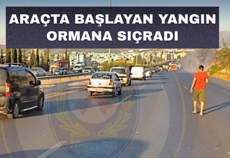 Araçta başlayan yangın ormana sıçradı