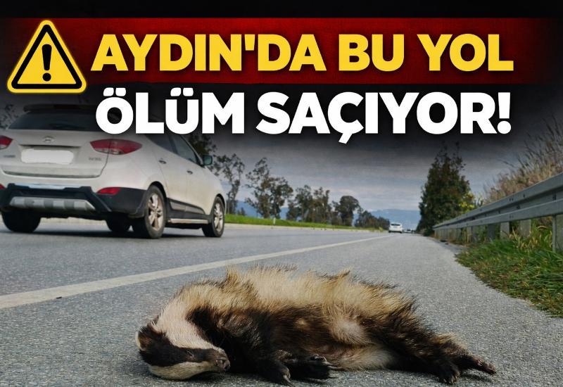 Aydın’da bu yol ölüm saçıyor