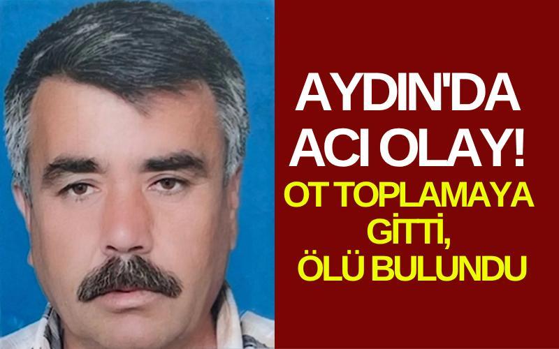 Aydın'da acı olay! Ot toplamaya gitti, ölü bulundu