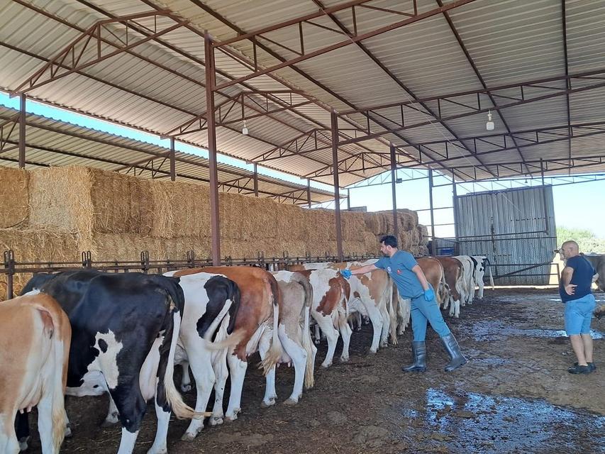 KUYUCAK'IN 13 MAHALLESİNDE GİRİŞ ÇIKIŞLAR YASAKLANDI