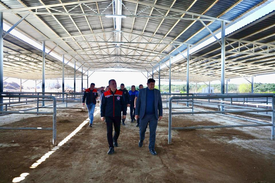 Çine Hayvan Pazarı 9 ay aradan sonra yeniden açılıyor