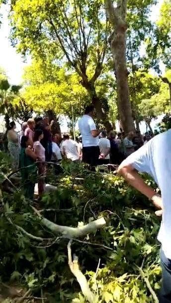 KORKUNÇ OLAY: ÇINAR AĞACININ KOPAN DALI VATANDAŞLARIN ÜZERİNE DÜŞTÜ
