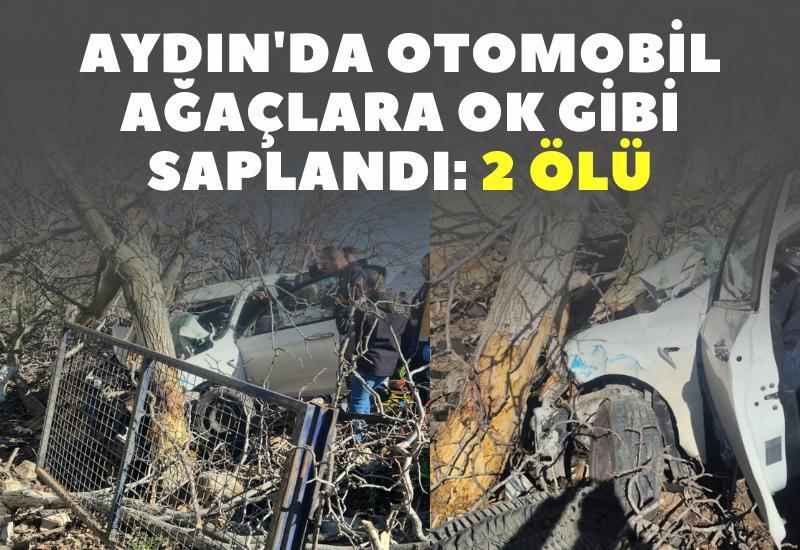 Aydın'da otomobil ağaçlara ok gibi saplandı: 2 ölü