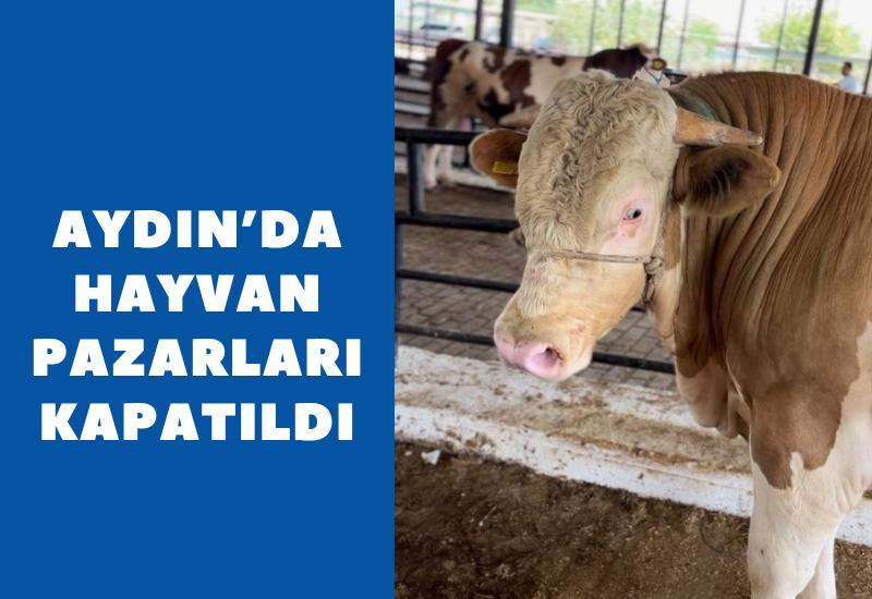 Aydın'da hayvan pazarları kapatıldı