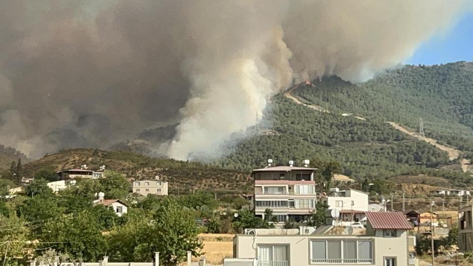 Orman yangını dinmiyor, müdahale 22. saate devam ediyor