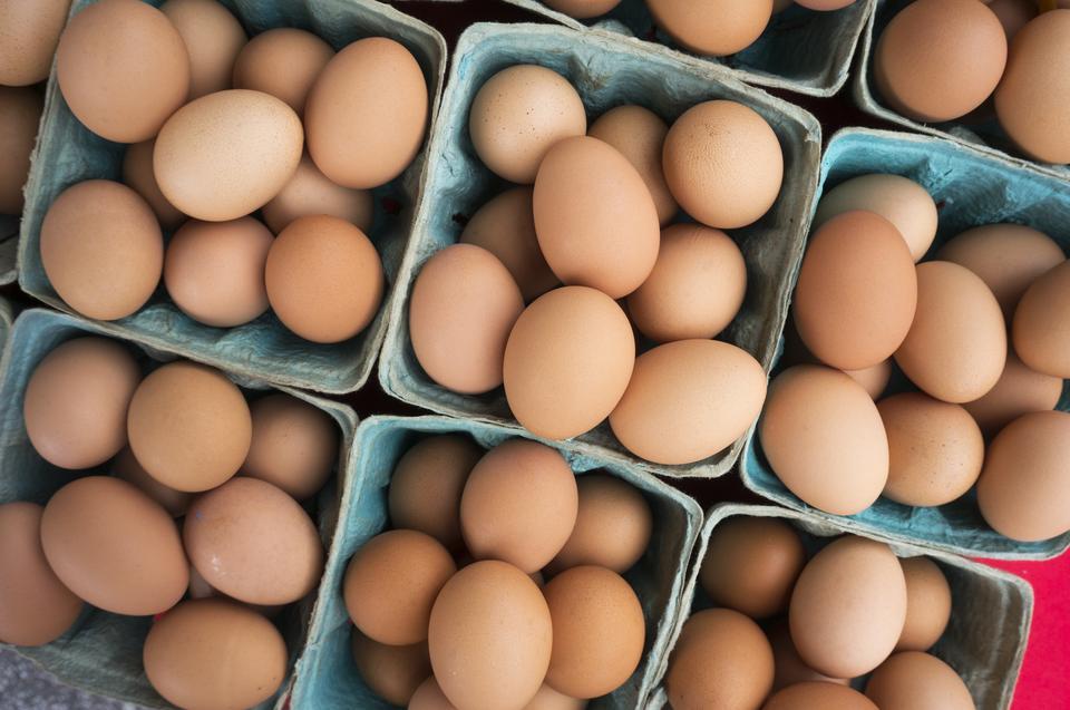 Yumurta ihracatında o kesintisi kaldırıldı