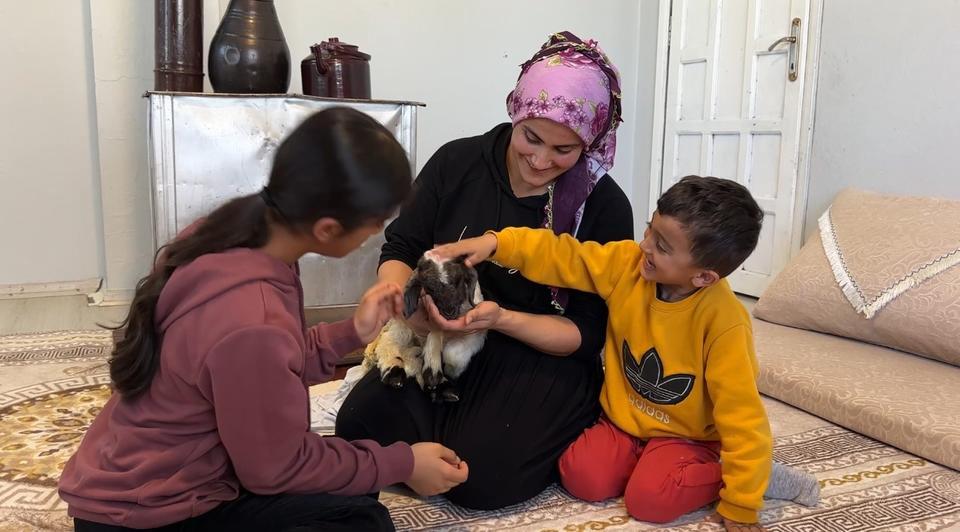 ANNESİZ KALAN KUZU AİLENİN 'UMUT'U OLDU ANNESİZ KUZUYU EV ORTAMINDA BEBEK ŞAMPUANIYLA YIKAYIP BİBERONLA BESLİYORLAR