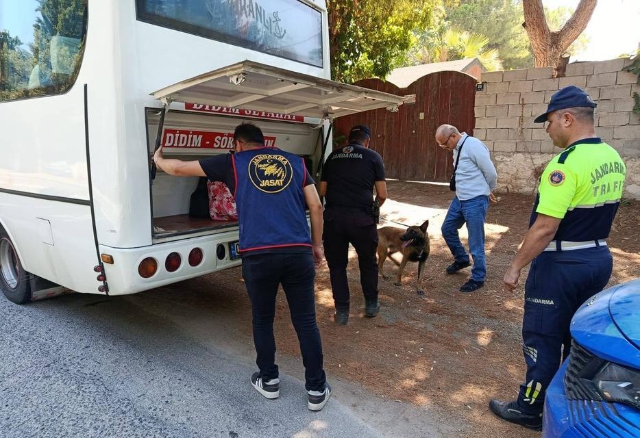 Aydın'daki festivalde suçlu avı