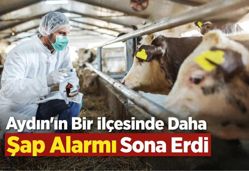 Aydın'ın bir ilçesinde daha şap alarmı sona erdi