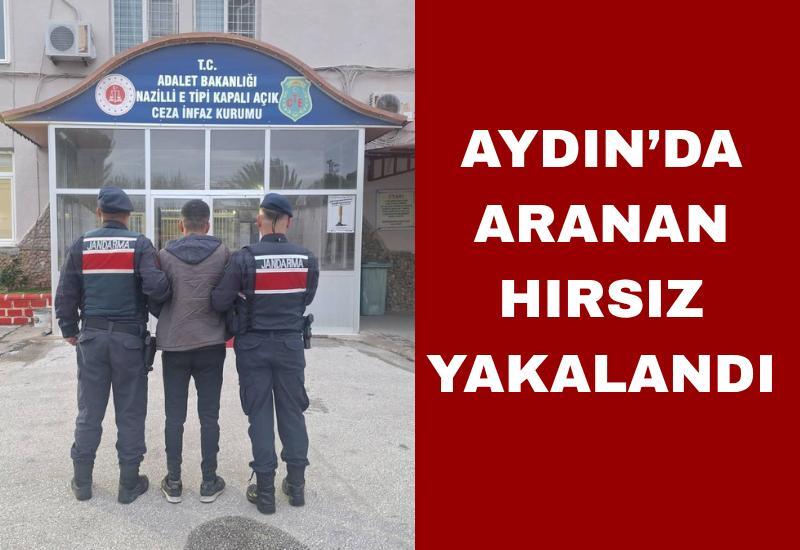 Aydın’da aranan hırsız jandarmadan kaçamadı