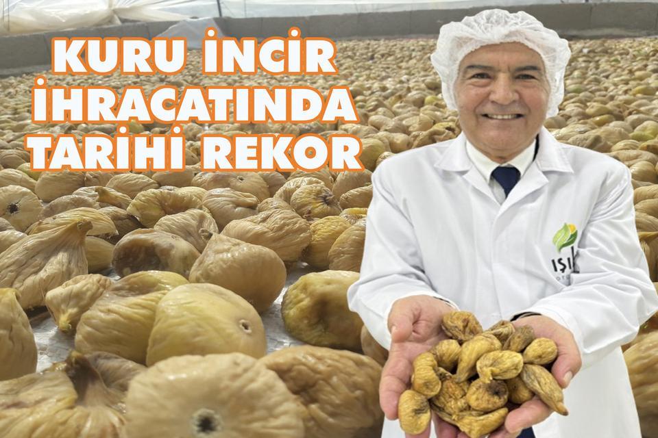 Kuru incir ihracatında tarihi rekor