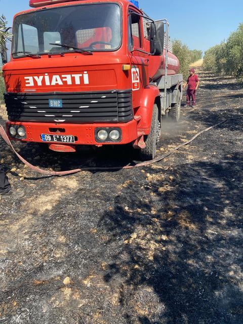 ZEYTİNLİKTE ÇIKAN YANGIN HIZLI MÜDAHALE İLE SÖNDÜRÜLDÜ