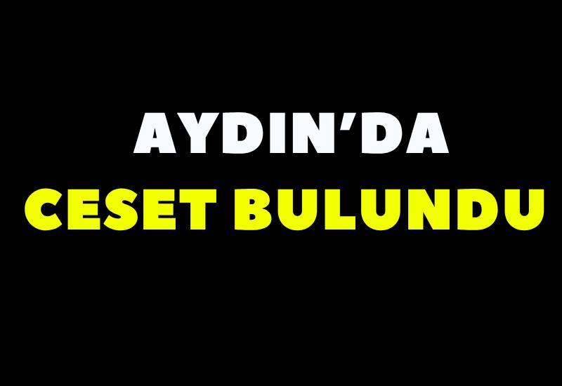 Aydın'da ceset bulundu