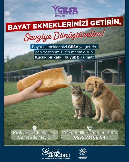 Germencik'te bayat ekmekler can dostlara mama oluyor