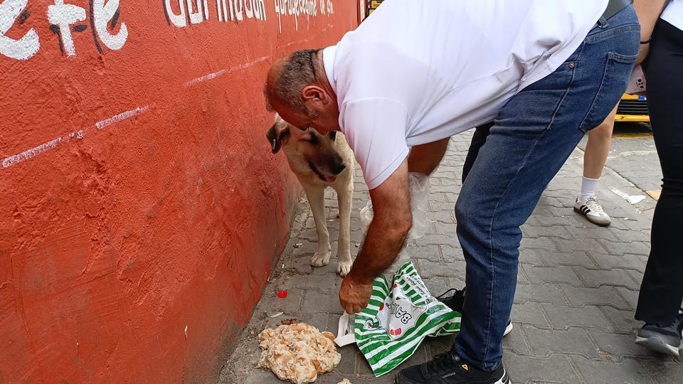 HAYVANSEVER TAKSİCİDEN ÖRNEK DAVRANIŞ HASTALANAN SOKAK KÖPEĞİNİ TAKSİSİNE ALIP VETERİNERE GÖTÜRDÜ