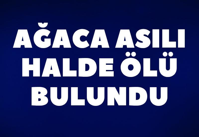 Ağaca asılı halde ölü bulundu