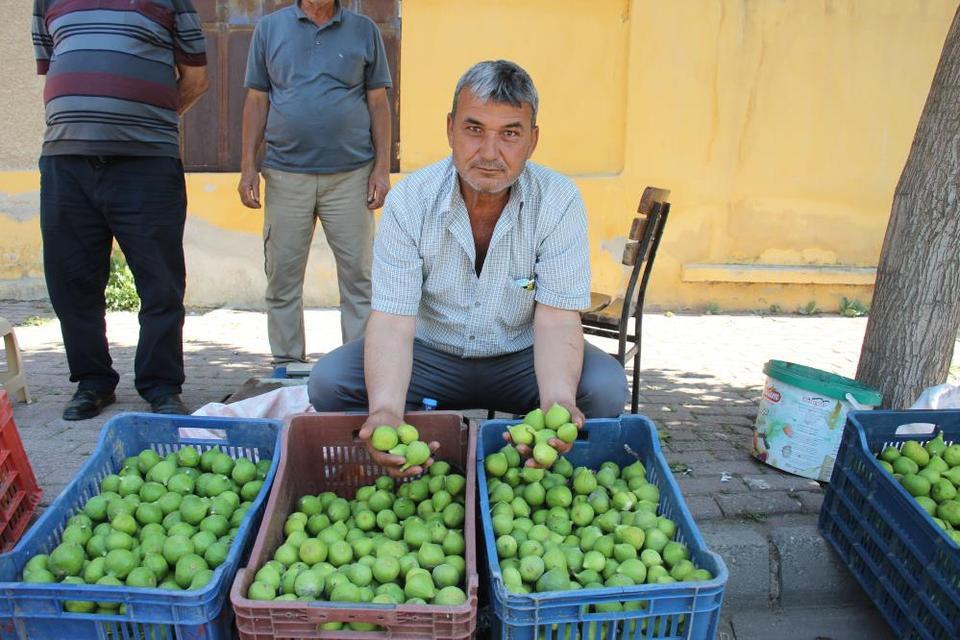Aydın'ın altın değerindeki ilekleri tezgahta!