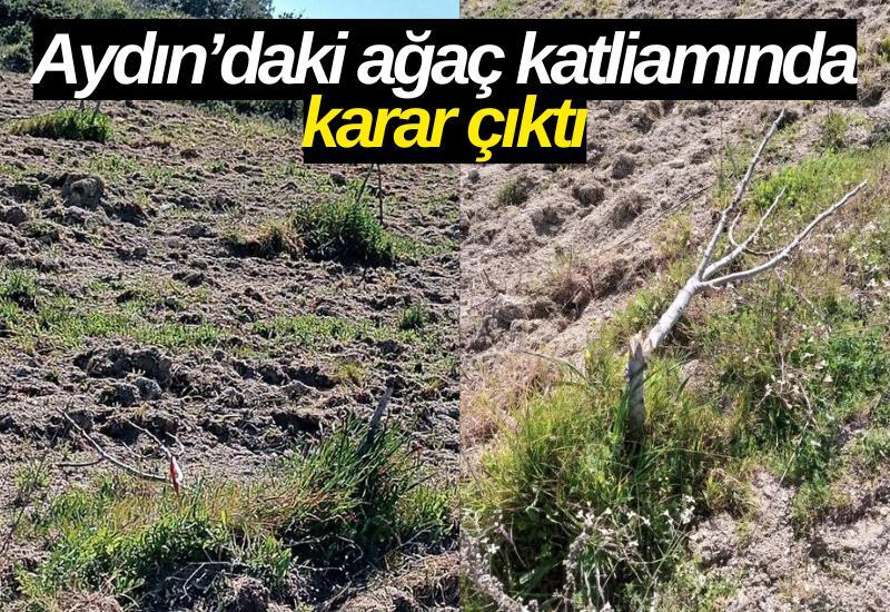 Aydın’daki ağaç katliamında karar çıktı