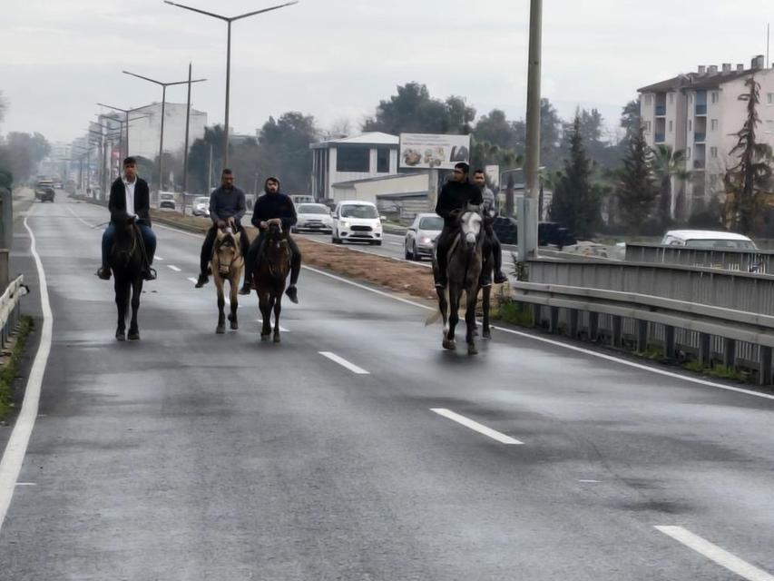 İncirliova'da Rahvan atları yarışlara hazırlanıyor