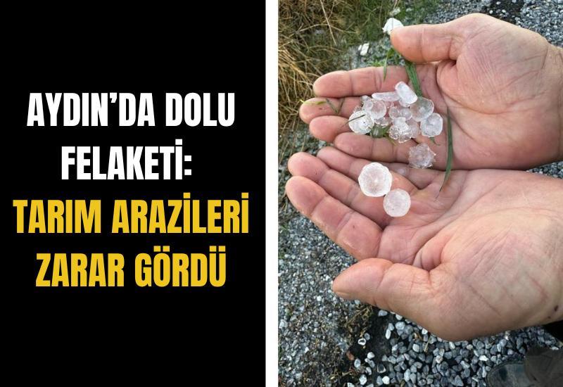 Aydın’da dolu felaketi: Tarım arazileri zarar gördü