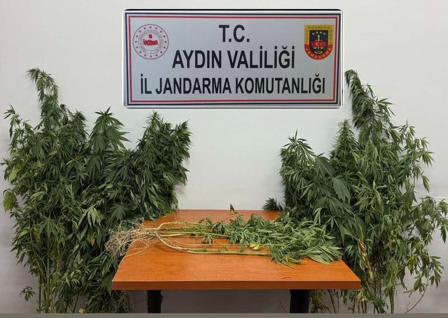 Aydın'da uyuşturucuya geçit yok