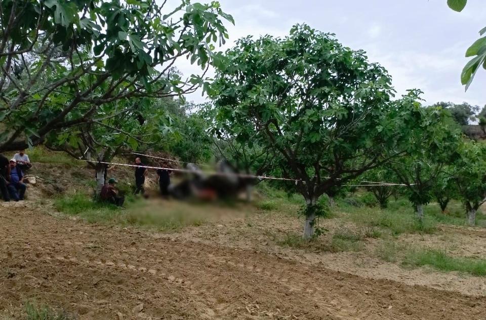 Aydın'da devrilen traktörün altında kalan kişi hayatını kaybetti