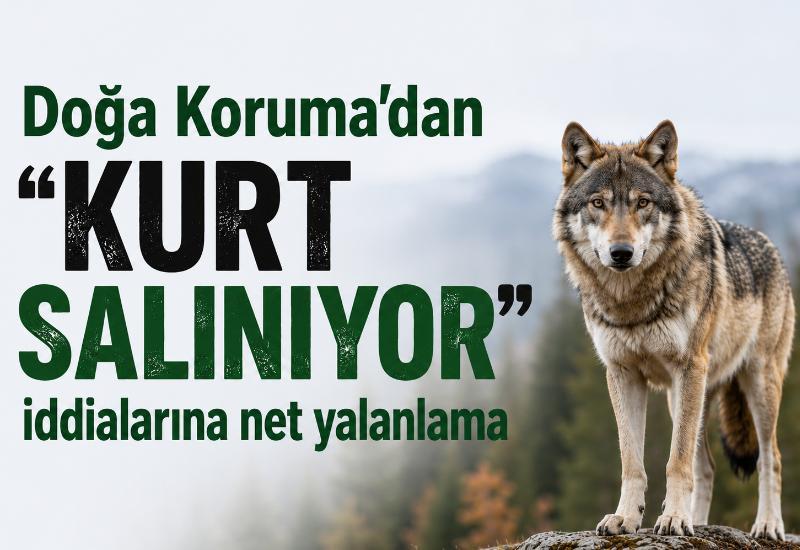 Doğa Koruma’dan “Kurt Salınıyor” iddialarına net yalanlama