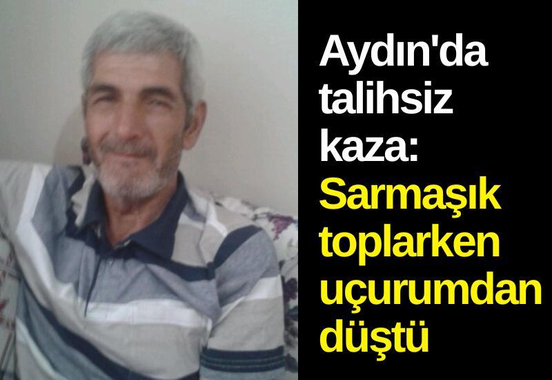 Aydın'da talihsiz kaza: Sarmaşık toplarken uçurumdan düştü