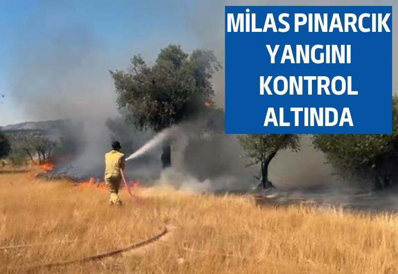 Milas Pınarcık yangını kontrol altında