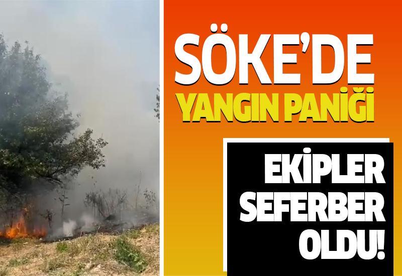 Söke'de yangın paniği