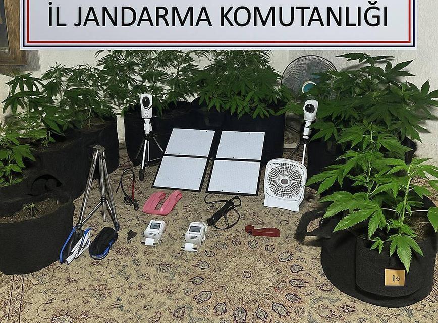 Aydın’daki uyuşturucu serasını Kıbrıs’tan yönetmiş