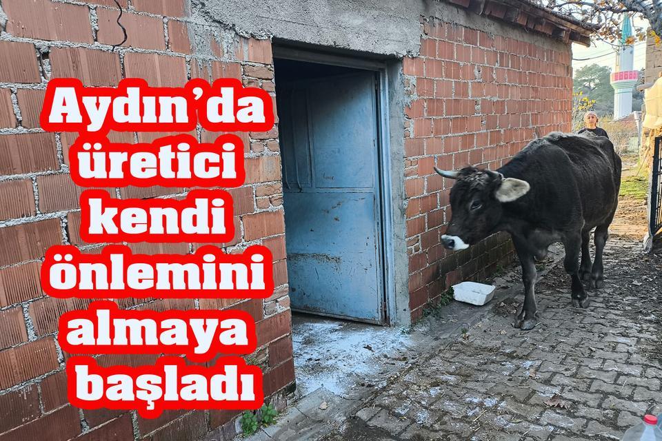 Aydın’da üretici kendi önlemini almaya başladı