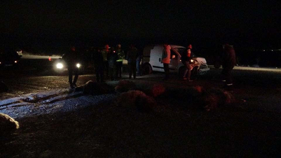 HAFİF TİCARİ ARAÇ SÜRÜYE DALDI, 10'DAN FAZLA KOYUN TELEF OLDU