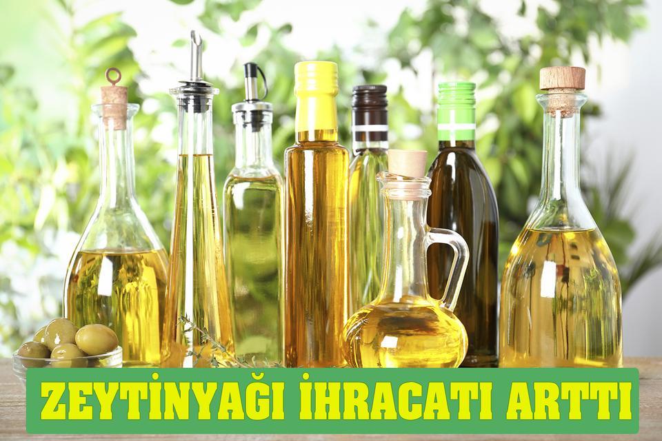Zeytinyağı ihracatı arttı