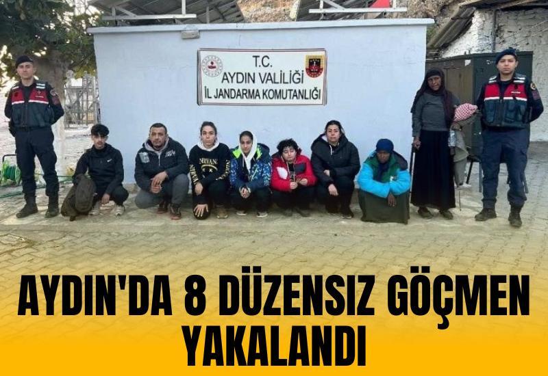 Aydın'da 8 düzensiz göçmen yakalandı