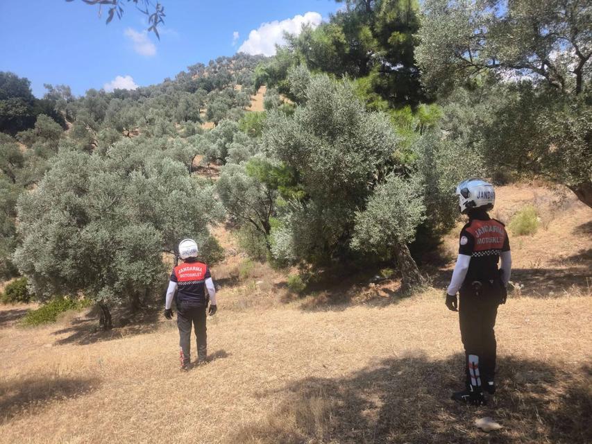 Aydın’da ormanlara girişler sınırlandı