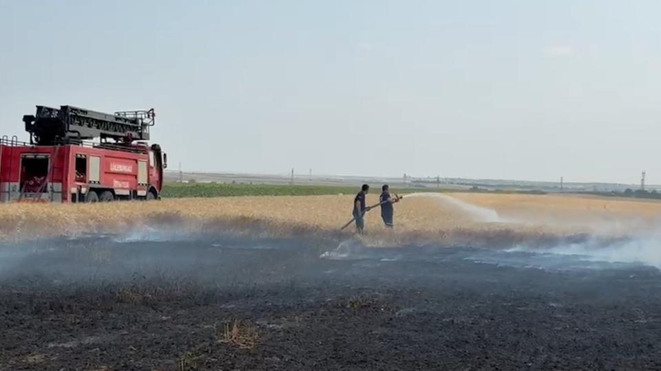 KIRKLARELİ'NDE BUĞDAY TARLALARINDA YANGIN: 500 DEKAR ALAN ZARAR GÖRDÜ