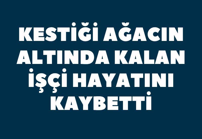 Kestiği ağacın altında kalan işçi hayatını kaybetti