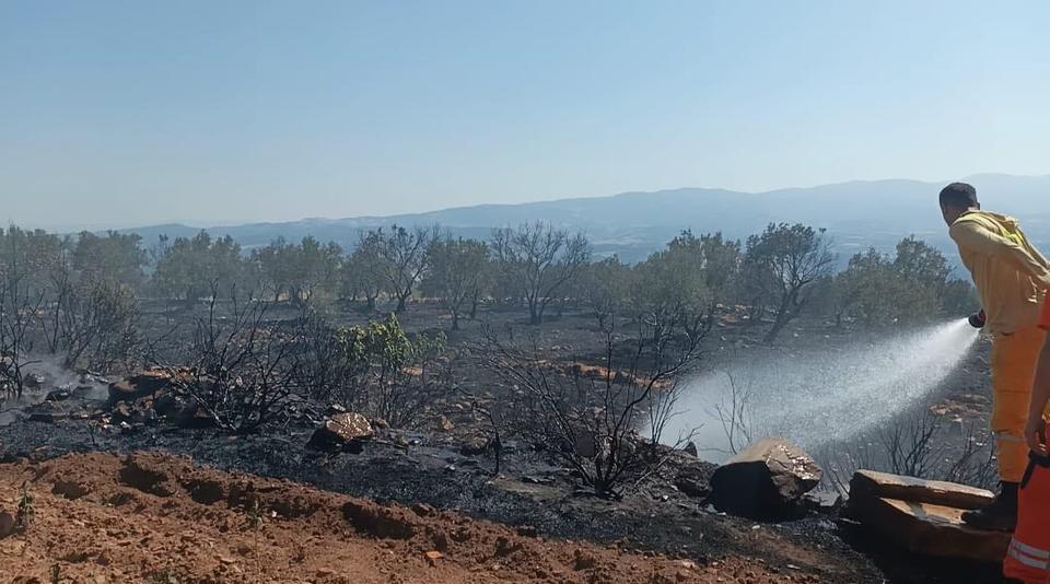 Yangın Karacasu’yu vurdu, belediye başkanı uyarıda bulundu