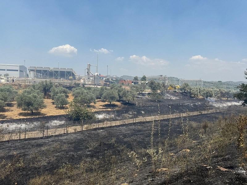 ÇİFT SÜRÜLEN TARLA YANGINDA ZARAR GÖRMEDİ