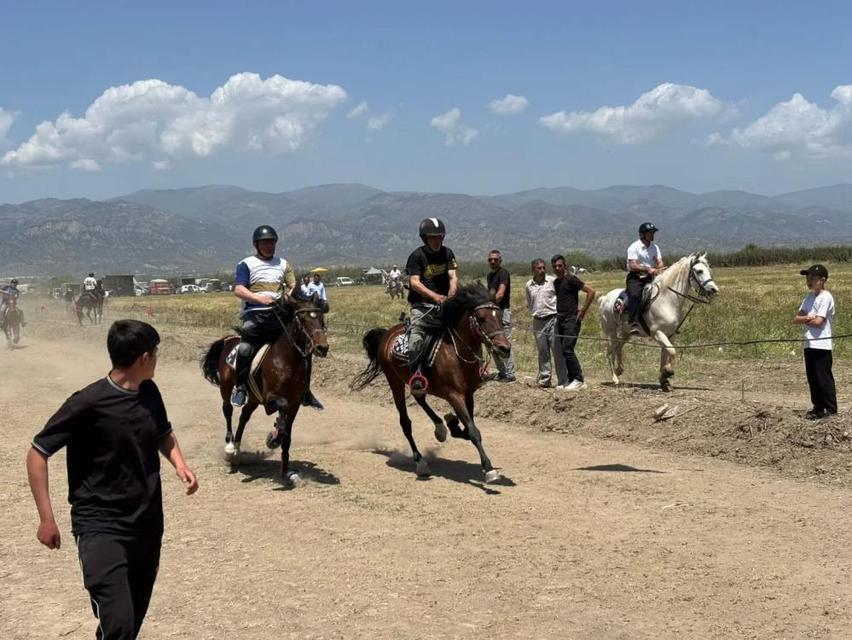 Yenipazar’da rahvan atlar kıyasıya yarıştı