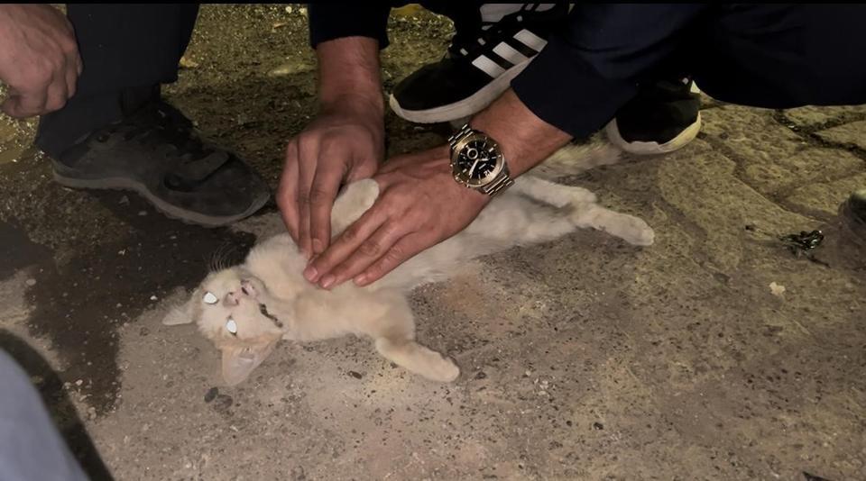 İtfaiye personelinden kediyi kurtarmak için kalp masajı