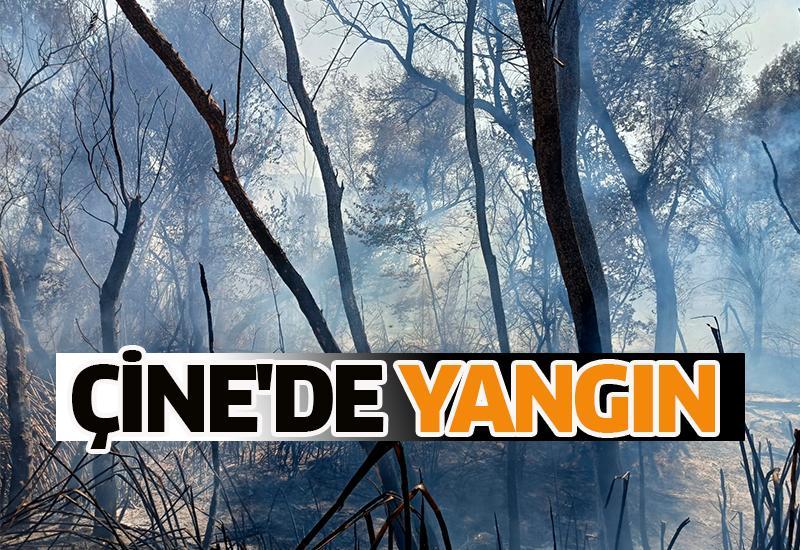 Çine'de yangın