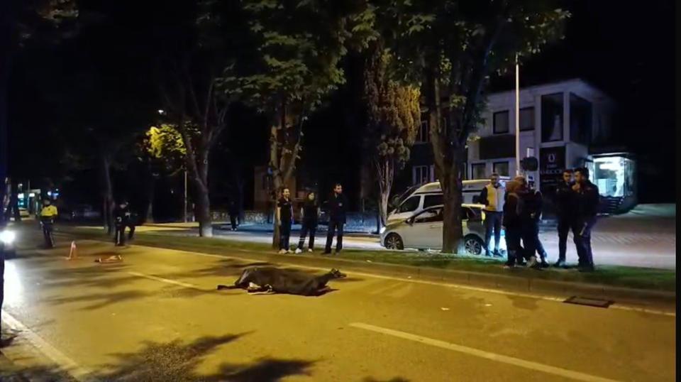 Abi kardeş 4 yıl sonra benzer kazada hayatını kaybetti