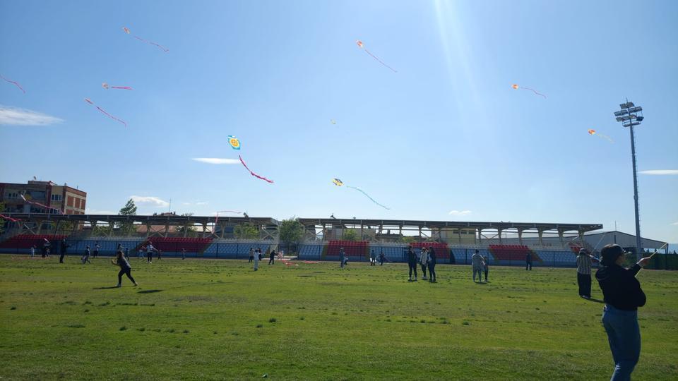 Söke de Uçurtma  Festivali
